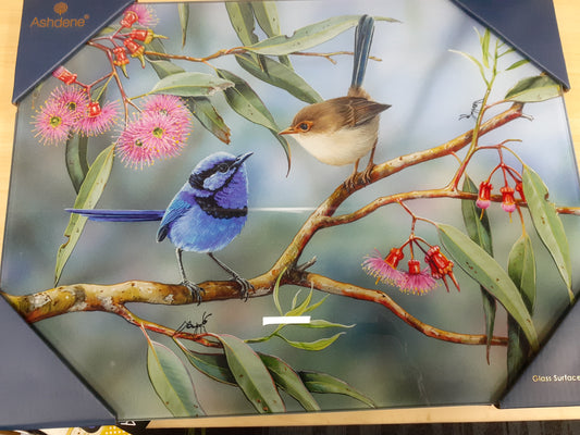 Australian Wren and Coral Gum Surface Protector