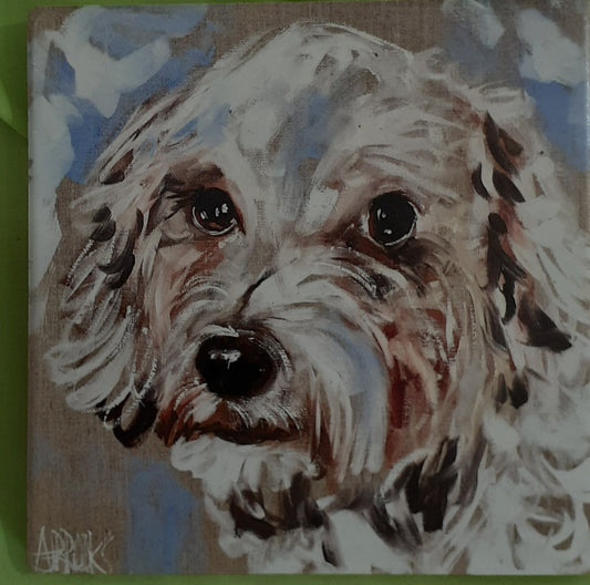 Snowy Schnoodle Coaster Single