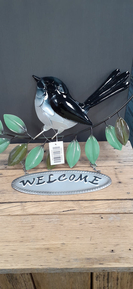 Elegant Willie Wagtail Welcome