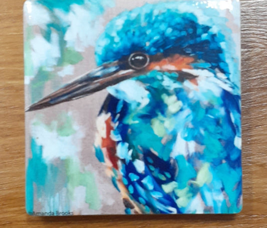 Kingfisher Magnet