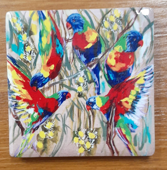 Lorikeets Magnet