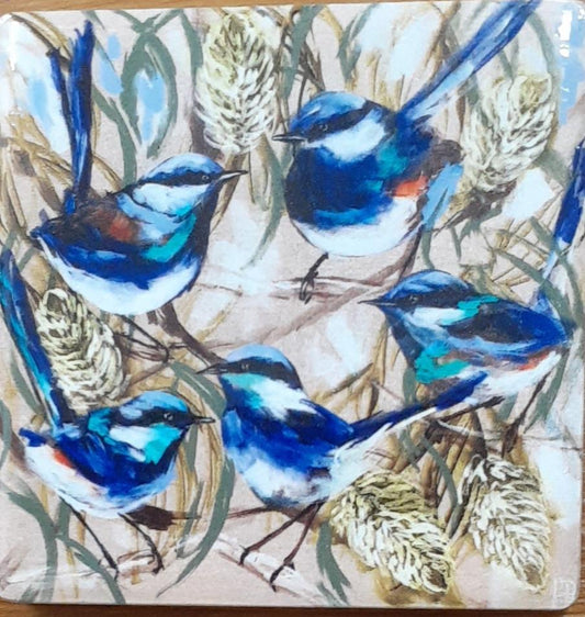 Blue Wren Coaster set