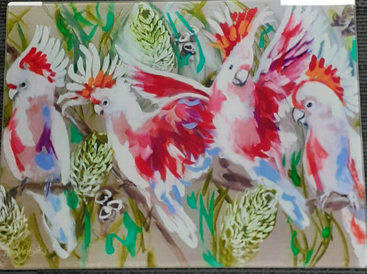 Major Mitchell Surface Glass Protector