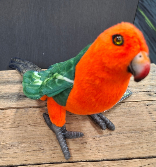 King Parrot Hansa