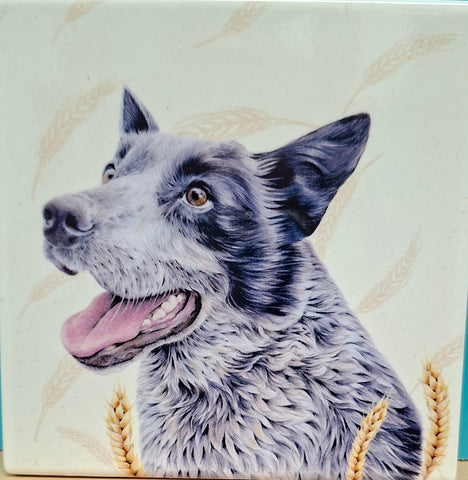 Coaster Single Farmyard Faces 2 Blue Heeler Ceramic