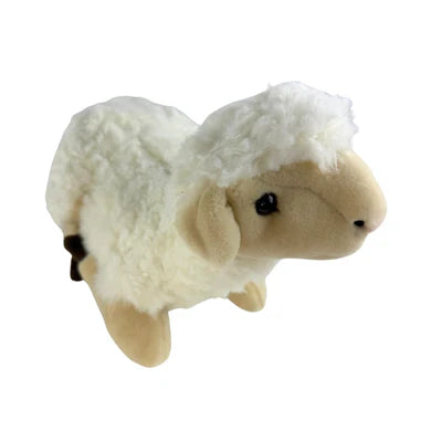 Lola Sheep Lying