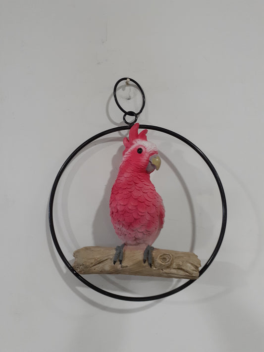 Resin Galah in a Ring