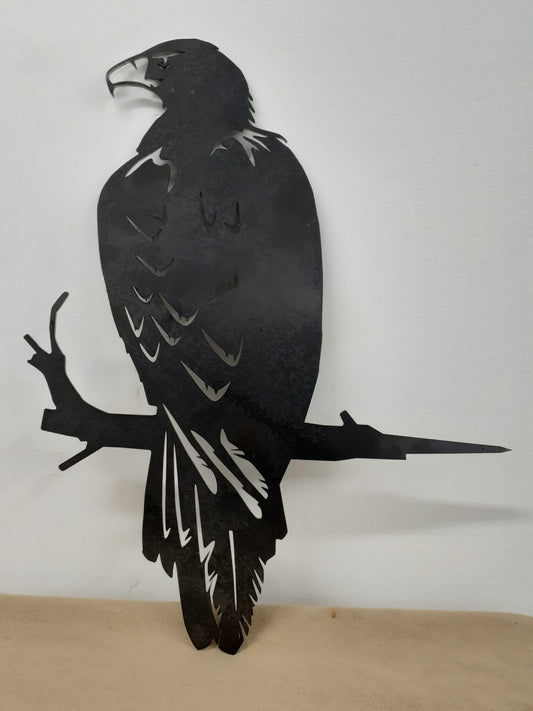 Wedge-Tailed Eagle XLg Metal Art