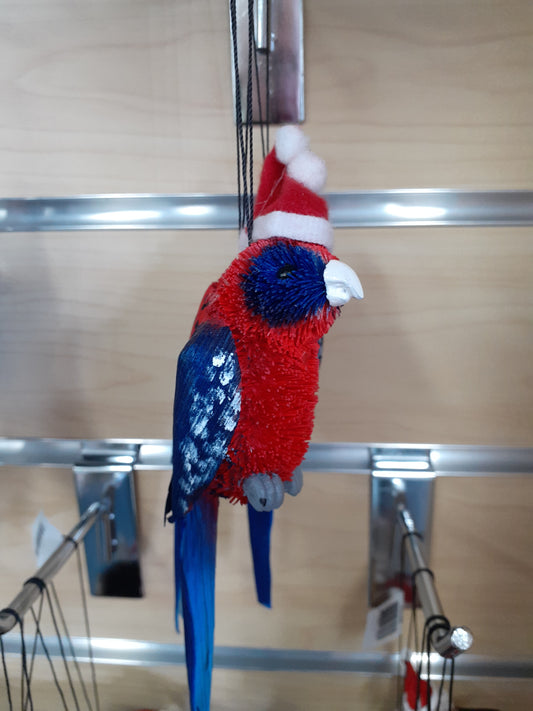 Xmas Crimson Rosella