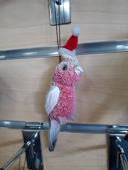 Xmas Galah