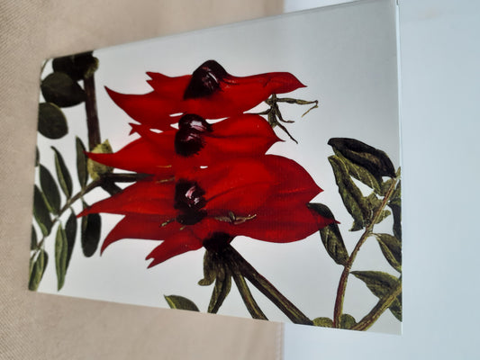 Notepad Sturts Desert Pea