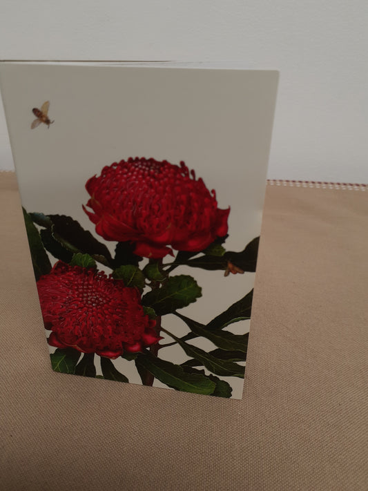 Card Waratah