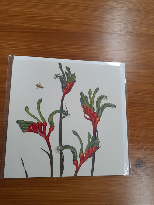 Card Red & Green Kangaroo Paw