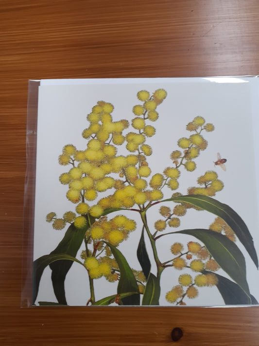 Card Golden Wattle