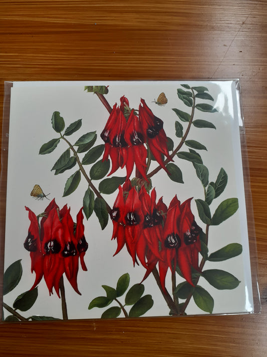 Card Sturt Pea