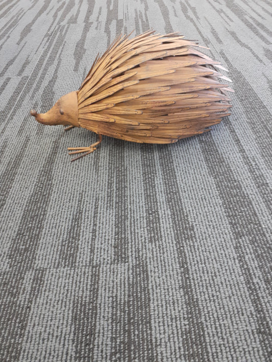 Rusty Echidna