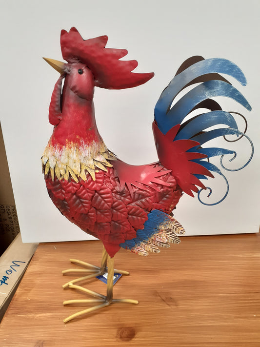 Rooster Colourful