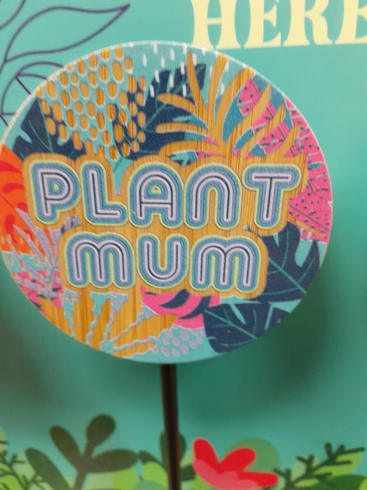 Plant Pop Plant Mum