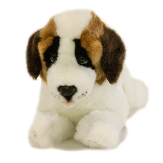 Mozart St Bernard