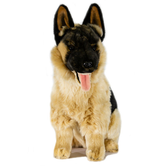 Major German Shepherd