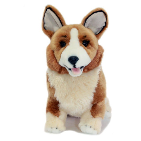 Windsor Corgi