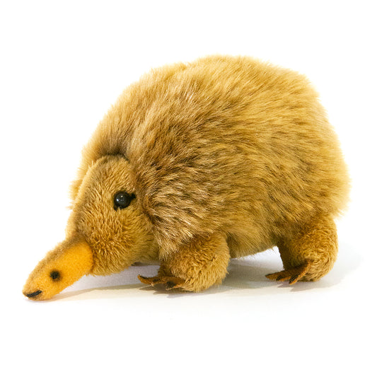 Echidna Mini