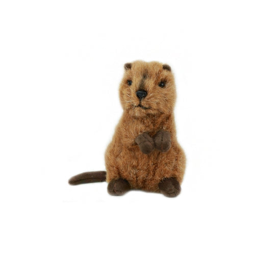 Quokka Mini