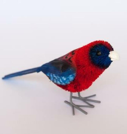 Crimson Rosella Medium Plain