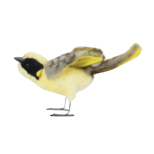 Helmeted Honey Eater Plush Hansa