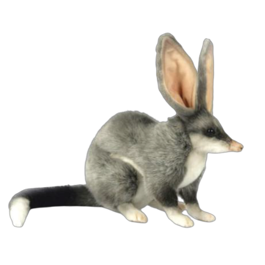 Bilby Hansa