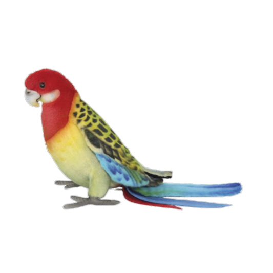 Eastern Rosella Plush Hansa