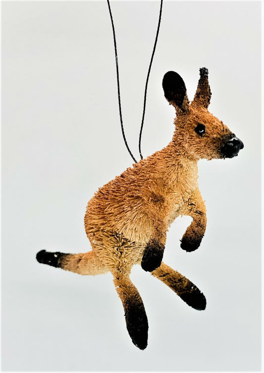 Kangaroo  Hanging