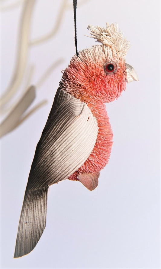 Galah Hanging Plain