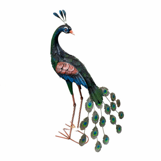 Tall Peacock