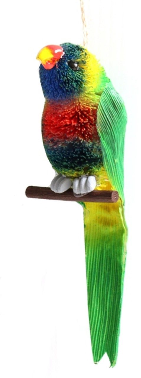 Lorikeets Plain Bristlebrush